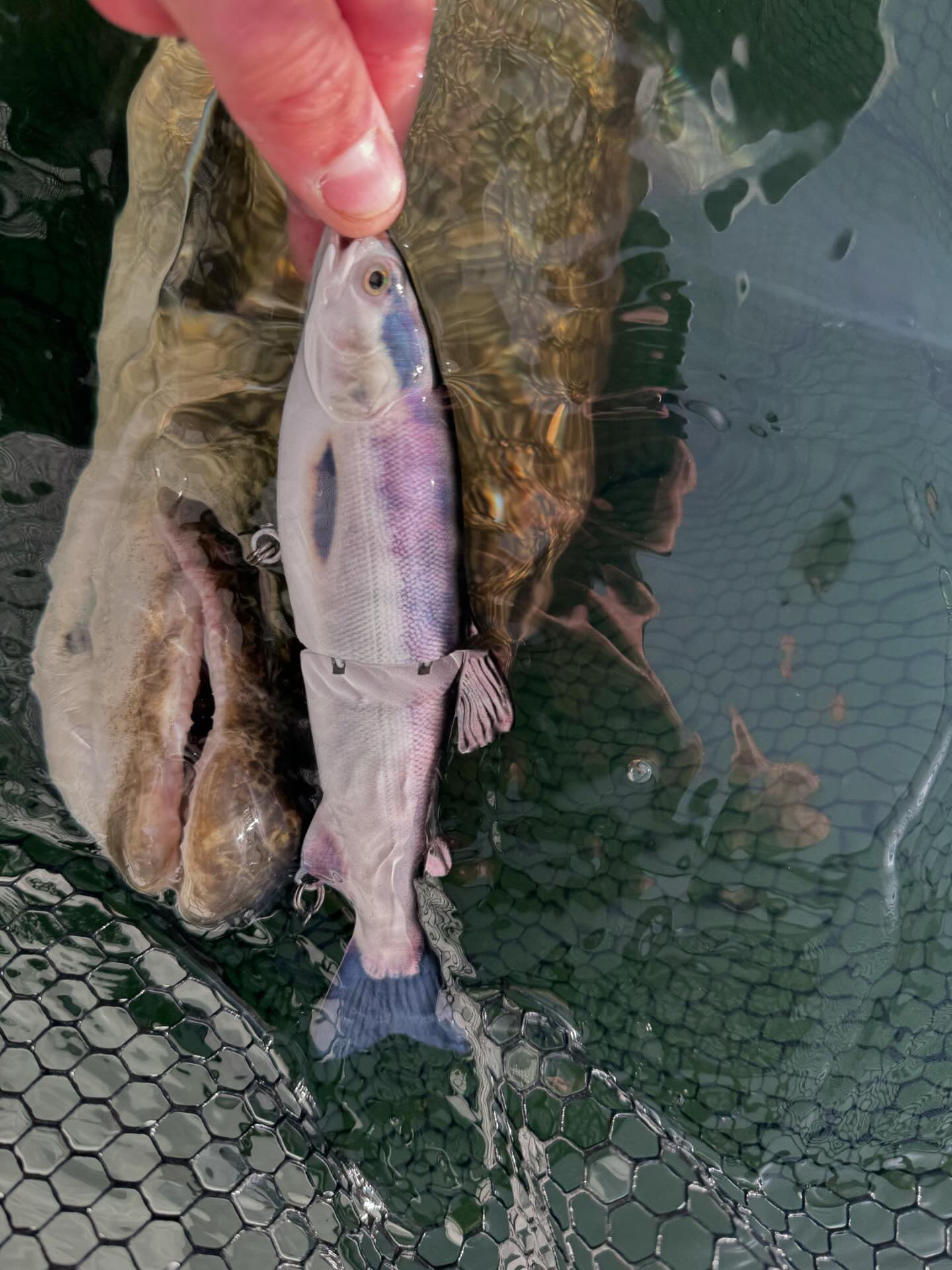 7” Hard Body Glide Bait (2.75 oz)